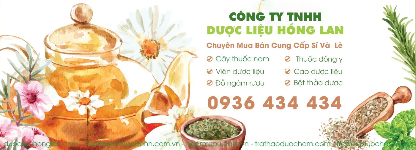 Hình ảnh 2