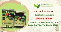 Cao Cà Gai Leo