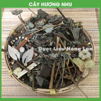 Cây Hương Nhu Tía Khô 1