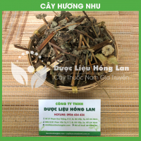 Cây Hương Nhu Tía Khô 2