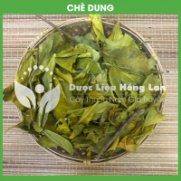 Cây Lá Chè Dung 3
