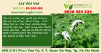 Cây vòi voi