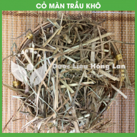 Cây Cỏ Màn Tràu khô 3