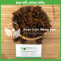 Hoa Hồi (Đại Hồi) 2