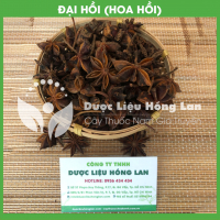 Hoa Hồi (Đại Hồi) 1