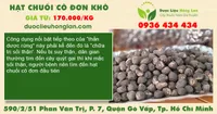 Hạt chuối cô đơn khô