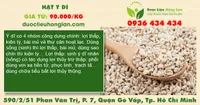 Hạt Ý Dĩ
