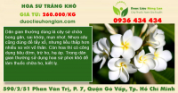 Hoa Sứ Trắng Khô