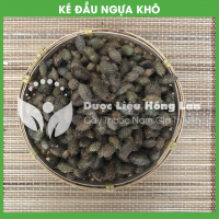 Quả Ké Đầu Ngựa (Thương Nhỉ Tử) 3