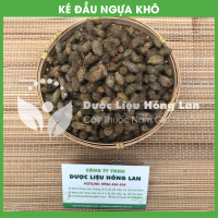 Quả Ké Đầu Ngựa (Thương Nhỉ Tử) 1