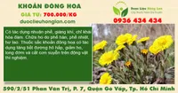 Khoản đông hoa