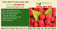 Phúc bổn tử (quả mâm xôi)