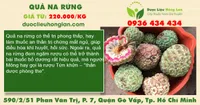 Quả na rừng