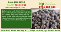 Quả sim rừng