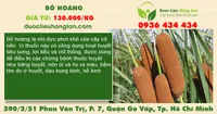 Bồ Hoàng