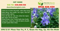 Cát cánh