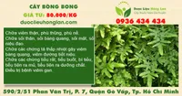 Cây bòng bong
