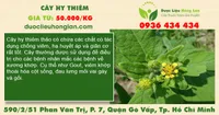 Cây Hy Thiêm