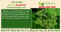 Cây lá gan