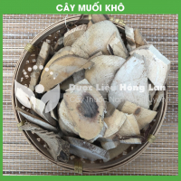 Cây Muối 3