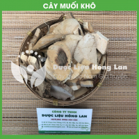 Cây Muối 1