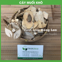 Cây Muối 2