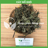 Cây Nổ 2