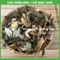 Cây Phèn đen 3