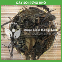 Cây Sói rừng 3