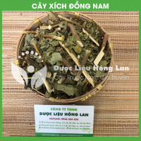 Xích Đồng Nam 1