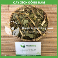 Xích Đồng Nam 2