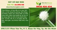 Cây cỏ bạc đầu