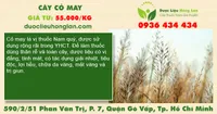Cây cỏ may