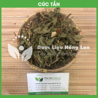 Cây Cúc Tần (Cây Từ Bi, Cây Đại Bì) 2