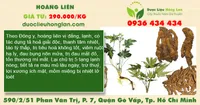 Hoàng Liên