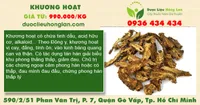 Khương hoạt