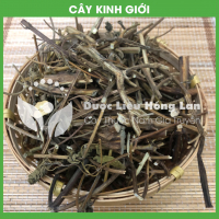 Cây rau thơm Kinh Giới 3