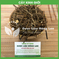 Cây rau thơm Kinh Giới 1