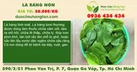 Lá bàng non
