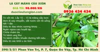 Lá cây mãng cầu xiêm