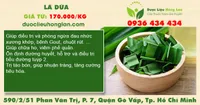Lá dứa