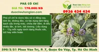 Phá cố chỉ