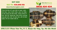 Quy Bản