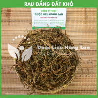 Rau đắng đất 1