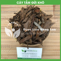 Tầm Gửi 2