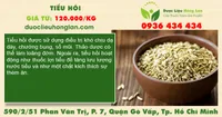 Tiểu hồi