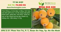 Tỳ bà diệp