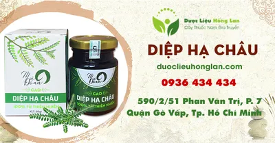 Cao Diệp Hạ Châu