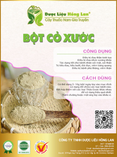 Bột Cây Cỏ Xước