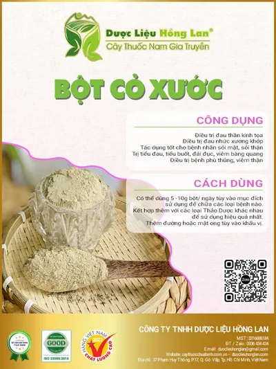 Bột Cây Cỏ Xước